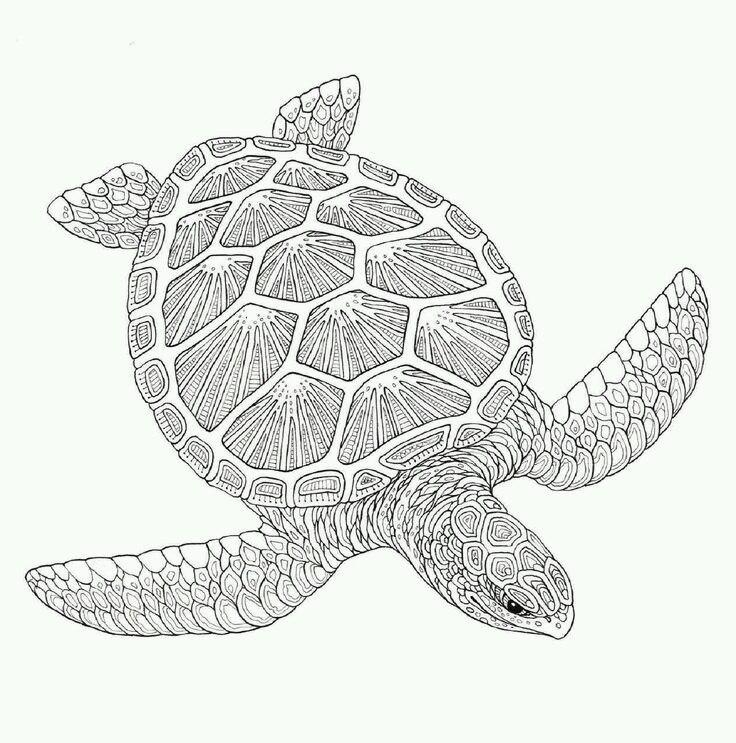 Раскраски антистресс морские черепахи