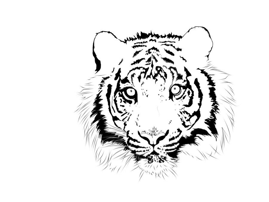 Новогодние раскраски 2022 голова тигра