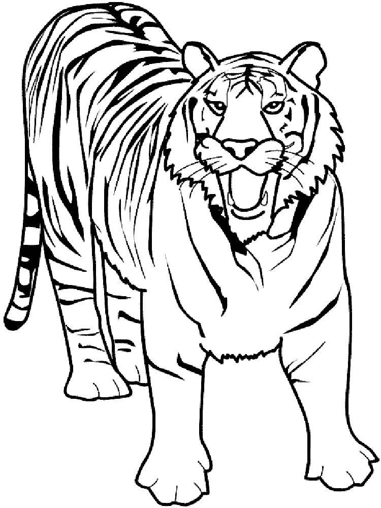 Новогодние раскраски 2022 тигр