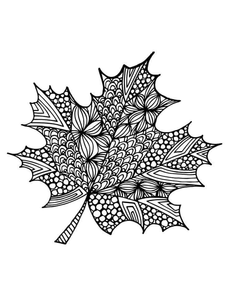 Раскраски Осень антистресс лист кленовый