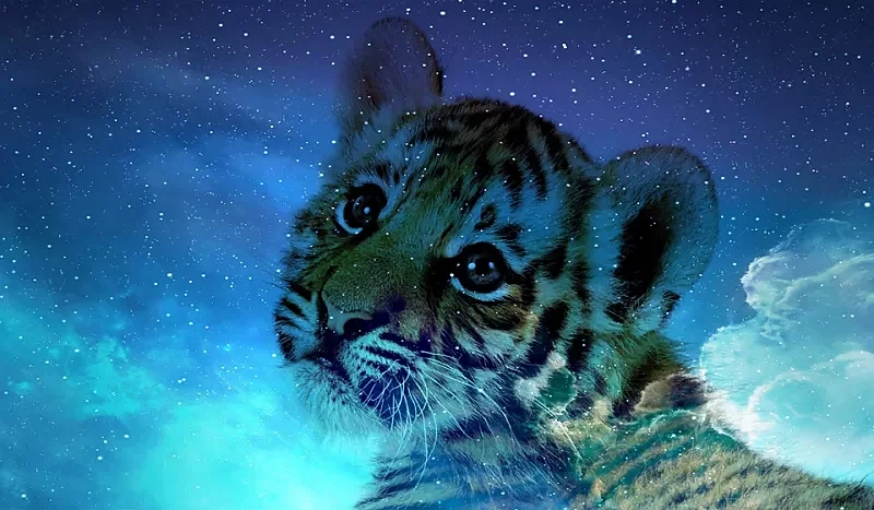 Год Тигра 2022 — коллекция поздравительных открыток с тигром