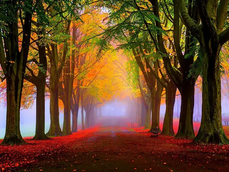Сочинение-описание «Осенний парк»