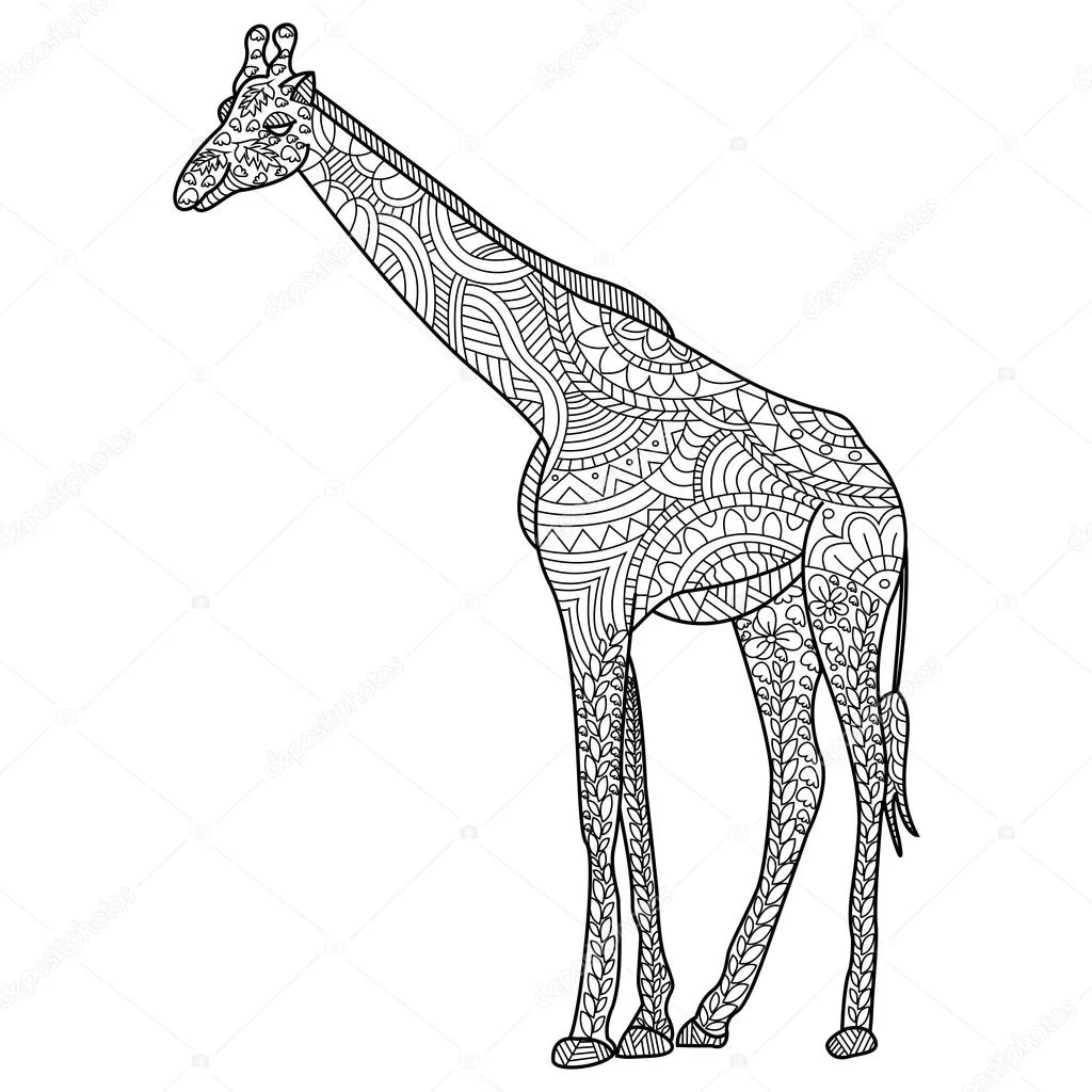 Раскраска антистресс жирафы